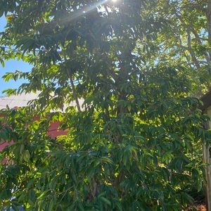 Meet your Posher, Shawn